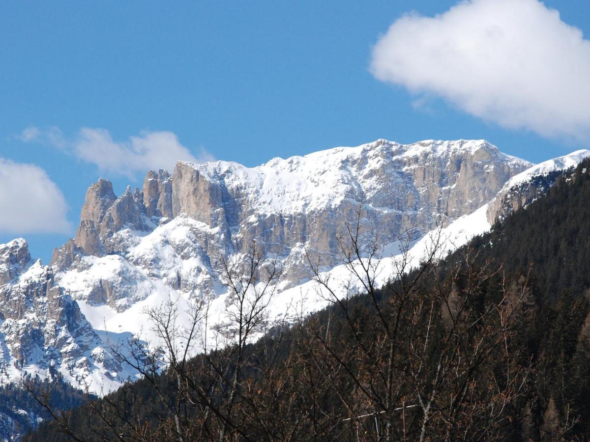 Apartment Villa Placidia-7 By Interhome Campitello di Fassa Buitenkant foto